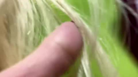 Snapshot of big_clit71 chatting on 01/01/25, 06:05 angela online show from 01/01/25, 06:05