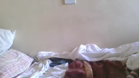 Snapshot of big_cockk_daddy chatting on 04/15/26, 07:37 big_cockk_daddy online show from 04/15/26, 07:37