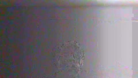 bigalnoone online show from 03/26/26, 10:04