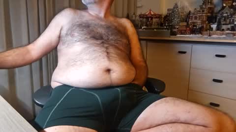 Snapshot of bigbibear88 chatting on 12/10/24, 11:30 bigbibear88 online show from 12/10/24, 11:30