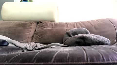 Snapshot of bigboadick chatting on 10/31/25, 02:18 bigboadick online show from 10/31/25, 02:18