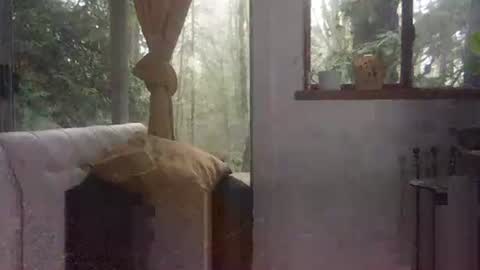 Snapshot of bigbossforsirius chatting on 12/01/24, 04:29 bigbossforsirius online show from 12/01/24, 04:29