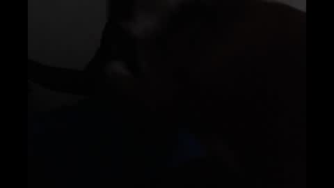 Snapshot of bigbryson1 chatting on 04/19/26, 06:10 Bryson online show from 04/19/26, 06:10