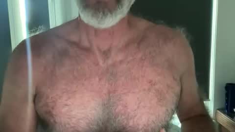 big bush online show from 02/05/26, 09:41