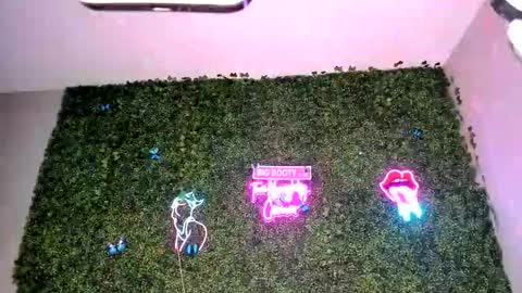 Snapshot of bigbuttsarena chatting on 04/22/26, 06:27 bigbuttsarena online show from 04/22/26, 06:27