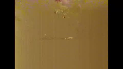 bigdaddydongarlets391292 online show from 10/17/25, 08:06