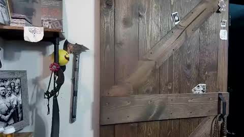 Darryl online show from 02/12/25, 04:23