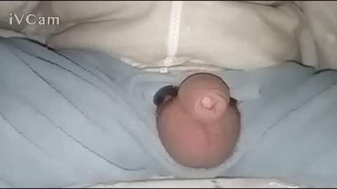 Snapshot of bigdick666cm chatting on 01/30/25, 02:49 Big online show from 01/30/25, 02:49