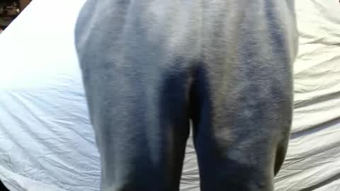 bigdickdaddy567130413 online show from 01/15/25, 05:47