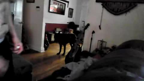 bigdickdaddy7201979564868 online show from 05/24/26, 09:42