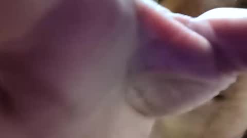 bigdickdaddy7201979564868 online show from 06/10/26, 08:24