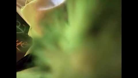 bigdickguy69690 online show from 02/22/25, 01:11