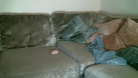 Snapshot of bigdickjimmywill chatting on 02/11/25, 05:47 CAJEinc online show from 02/11/25, 05:47