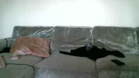 Snapshot of bigdickjimmywill chatting on 02/15/25, 05:39 CAJEinc online show from 02/15/25, 05:39