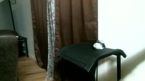 Snapshot of bigdickjimmywill chatting on 05/17/26, 12:01 CAJEinc online show from 05/17/26, 12:01