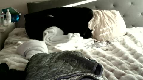 Snapshot of bigdickjoey1995 chatting on 01/10/25, 11:29 bigdickjoey1995 online show from 01/10/25, 11:29