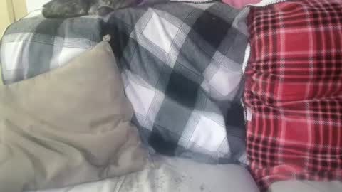 Snapshot of bigdicktrannynicole chatting on 01/29/25, 12:56 bigdicktrannynicole online show from 01/29/25, 12:56