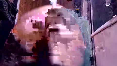 Snapshot of bigdog9thick chatting on 12/06/24, 10:05 bigdog9thick online show from 12/06/24, 10:05