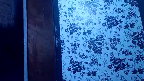 Snapshot of bigdog9thick chatting on 01/27/25, 11:32 bigdog9thick online show from 01/27/25, 11:32