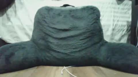 bigdyllpickle online show from 01/08/26, 02:47