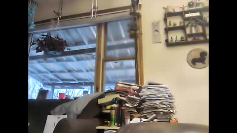 bigelectricrod online show from 01/05/25, 12:31