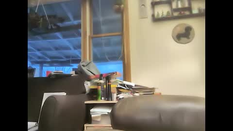 bigelectricrod online show from 02/01/25, 11:54