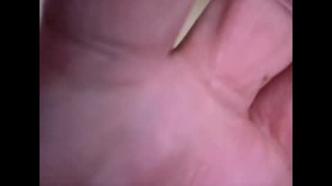 Snapshot of bigguunn chatting on 03/12/26, 11:22 bigguunn online show from 03/12/26, 11:22