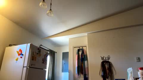 Snapshot of bigheadaddy90 chatting on 02/27/25, 07:04 Daniel  Noelia online show from 02/27/25, 07:04