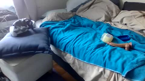 Snapshot of bigjoed233 chatting on 03/08/26, 03:05 bigjoed233 online show from 03/08/26, 03:05