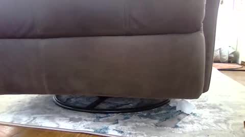 Snapshot of bigjoed233 chatting on 04/06/26, 02:18 bigjoed233 online show from 04/06/26, 02:18