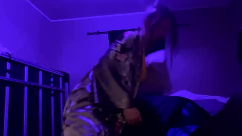 Bigkitties online show from 01/23/25, 02:17