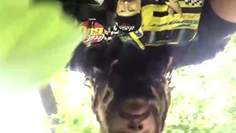 Snapshot of biglightskinbbcc chatting on 04/25/26, 06:16 bbcsexy online show from 04/25/26, 06:16