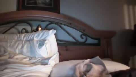 Snapshot of bigload1972 chatting on 01/22/25, 03:09 bigload1972 online show from 01/22/25, 03:09