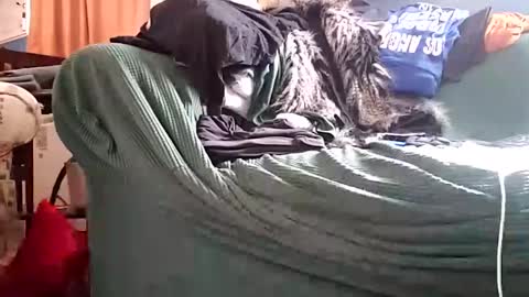 Snapshot of bigmanaround9 chatting on 12/11/24, 08:39 bigmanaround9 online show from 12/11/24, 08:39