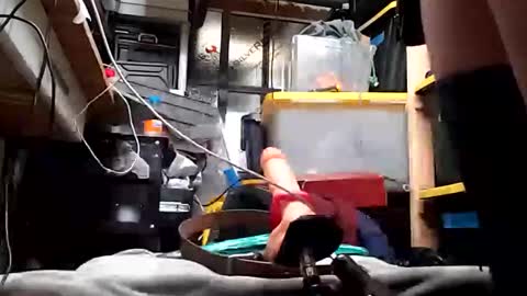 Snapshot of bigmanaround9 chatting on 03/07/25, 08:45 bigmanaround9 online show from 03/07/25, 08:45