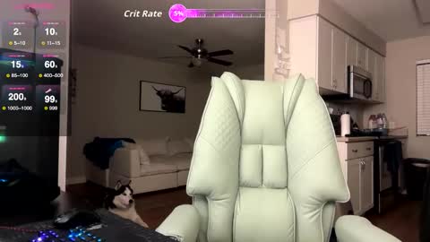 Nick Barker online show from 02/03/26, 02:53