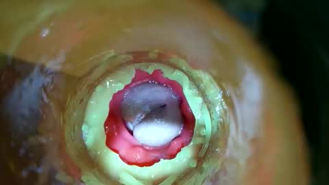 bigmoneycorey online show from 03/14/26, 07:30