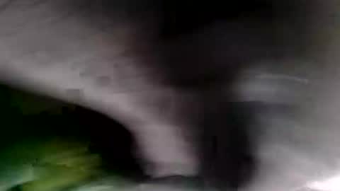 bignastyfilthy online show from 01/19/26, 02:15