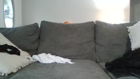 bigpepe7719 online show from 07/24/26, 04:38