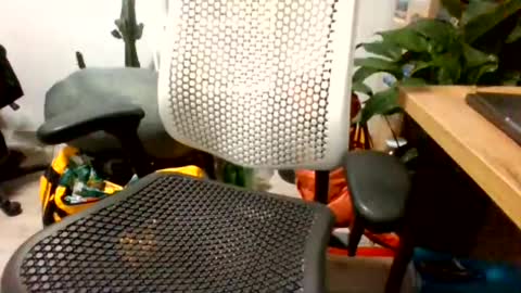 bigpolishdick12345 online show from 06/24/26, 11:04