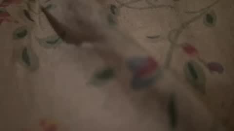 bigpoppadutch666 online show from 01/16/26, 12:53