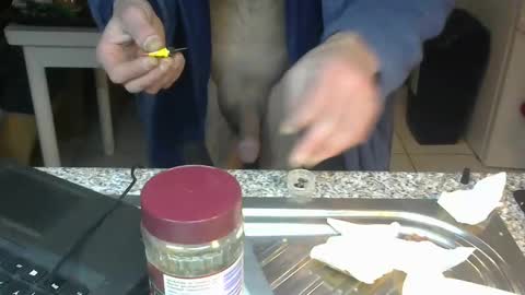 Snapshot of bigreallover chatting on 01/22/25, 02:37 ...... online show from 01/22/25, 02:37