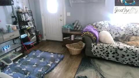 Snapshot of bigskittles4you chatting on 02/24/26, 05:22 Skittles online show from 02/24/26, 05:22