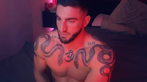 Snapshot of bigsnakeman1995 chatting on 11/23/25, 04:07 Gogo online show from 11/23/25, 04:07