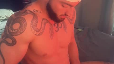 Snapshot of bigsnakeman1995 chatting on 11/26/25, 02:18 Gogo online show from 11/26/25, 02:18