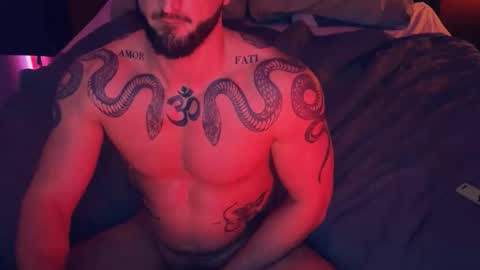 Snapshot of bigsnakeman1995 chatting on 12/17/25, 07:14 Gogo online show from 12/17/25, 07:14