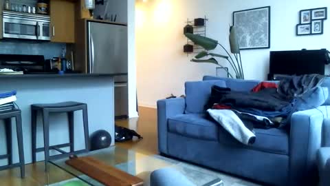 Bigtreatofc online show from 05/25/26, 08:26