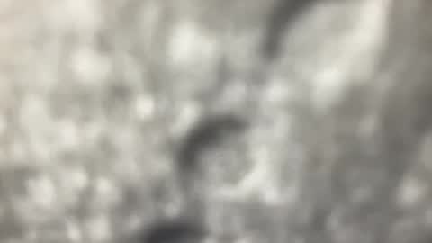 biguywithtoys online show from 12/22/24, 06:37