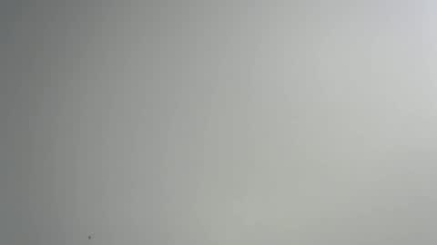 bigxcountry_39 online show from 02/15/26, 03:36