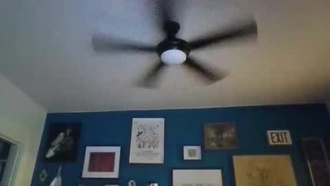 Snapshot of billjames55 chatting on 04/23/26, 11:42 billjames55 online show from 04/23/26, 11:42